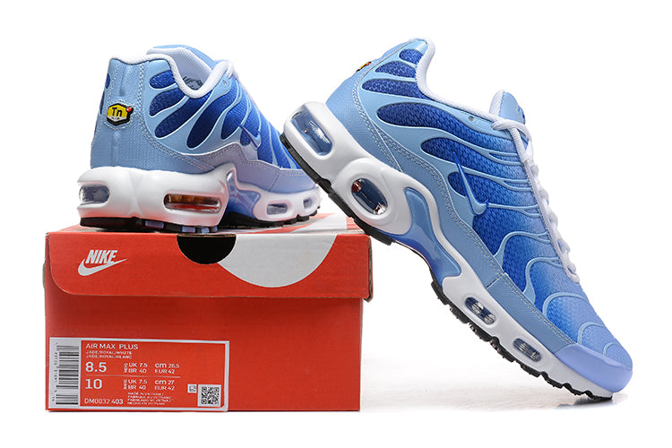 Air Max Plus Tn 1 “Royal Pulse”